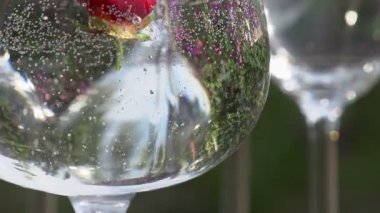 bir cam içine düşen çilek.