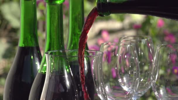 Rotwein in Becher gießen. — Stockvideo