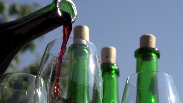 Despejar vinho tinto em cálice . — Vídeo de Stock