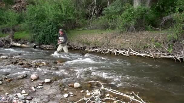 Fisherman In Search of Trout — Stock Video