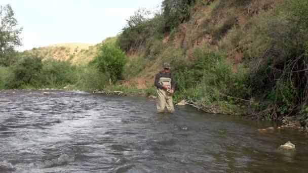 Espinafres de fundição de pescador . — Vídeo de Stock