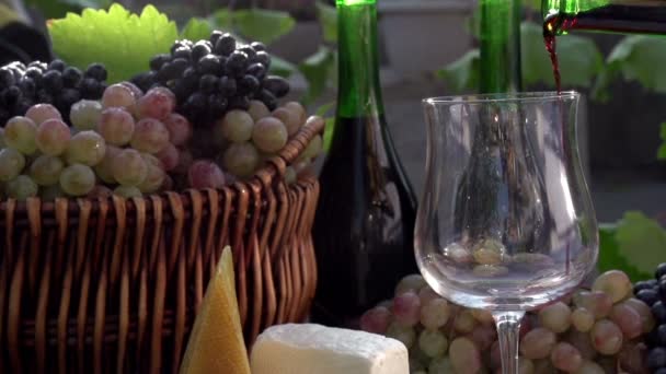 Red Wine Poured in a Glass. — Stock Video