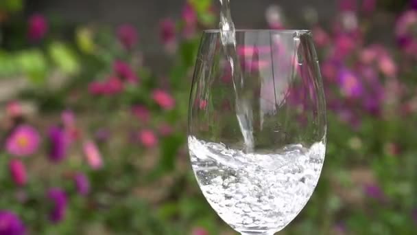 Το νερό χύνεται σε ένα ποτήρι. — Αρχείο Βίντεο