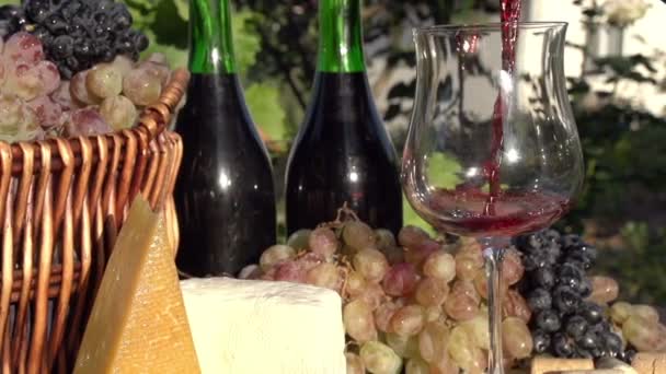 Вино наливают из бутылки . — стоковое видео