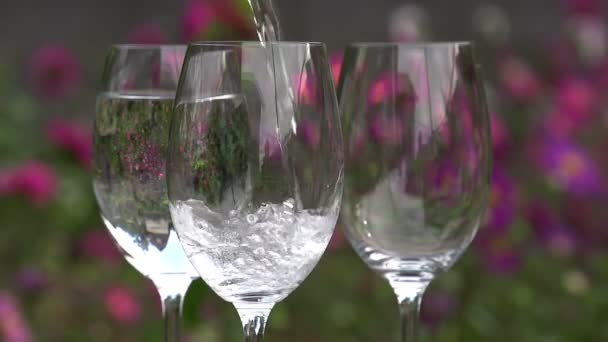 Sauberes Wasser wird in ein Glas gegossen. — Stockvideo