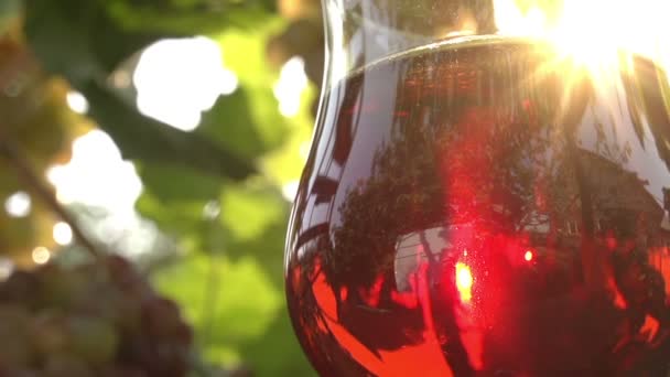 赤ワインのグラス. — ストック動画