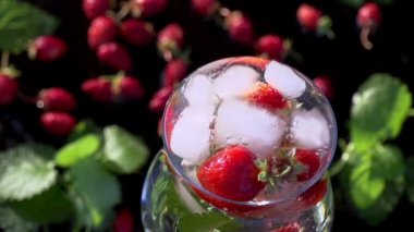 Berry suya düşen buz küpleri.