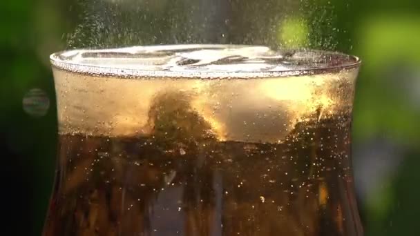 Movement of Bubbles in Sparkling Wine. — Stock Video