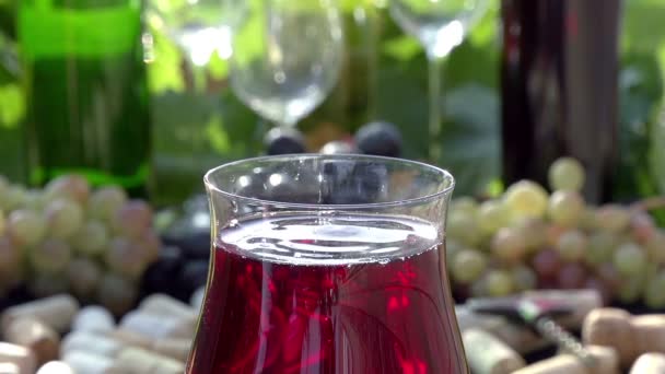 Tropfen Rotwein. — Stockvideo