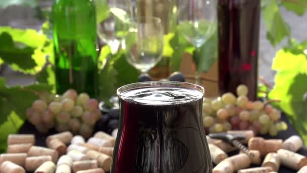 Drop of Wine Create Splashes. — Stock Video