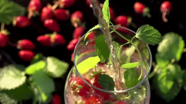 Frisdrank met munt en aardbeien — Stockvideo