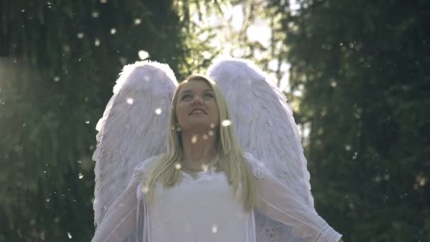 bílý anděl
