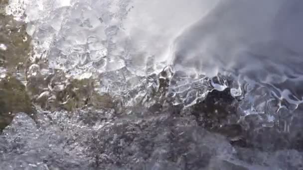 Wasser im eiskalten Bach. — Stockvideo
