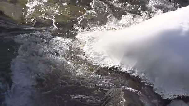 Voda v mrazu Creek. — Stock video