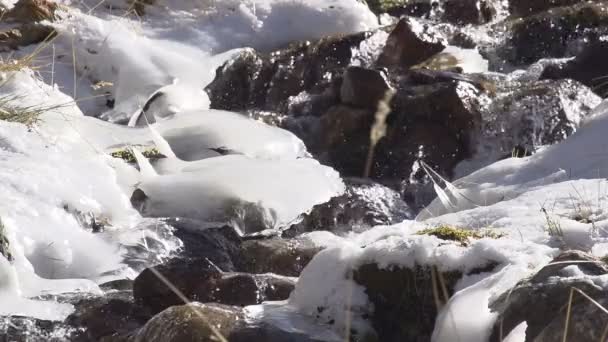 冻结小溪里的水. — 图库视频影像