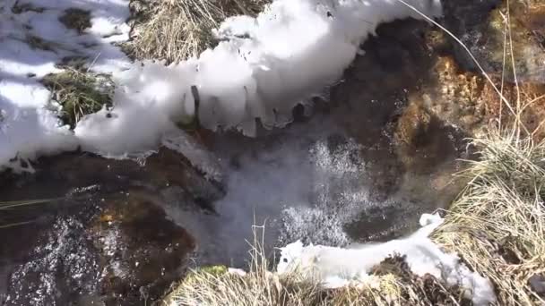 冻结小溪里的水. — 图库视频影像