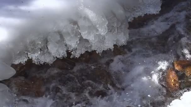 Water in Freezing Creek. — Stock Video
