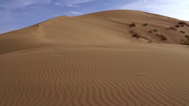 下沙丘的风景. — 图库视频影像