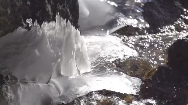 Winter Creek en zon. — Stockvideo