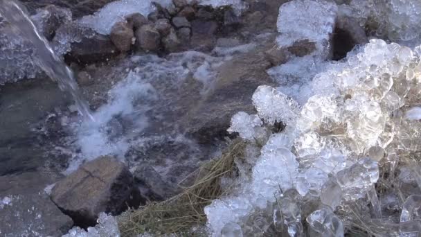 Bevriezing Cascade Creek. — Stockvideo