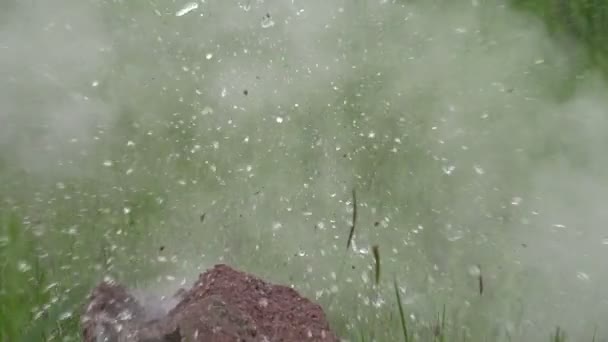 La bouteille se brise en achetant un fusil de chasse .