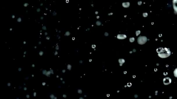 Bulles dans l'eau sombre .