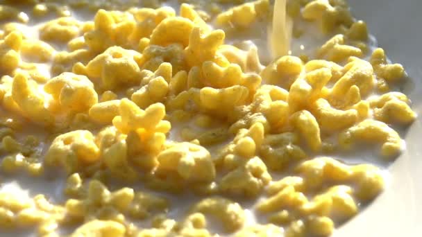 Copos de maíz en la leche . — Vídeo de stock