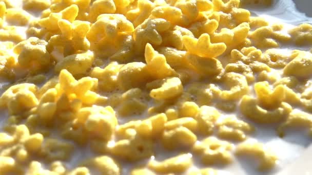 Corn flakes i en vit platta. — Stockvideo