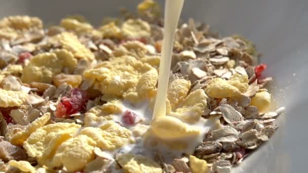 Le lait est versé dans un bol avec du muesli .