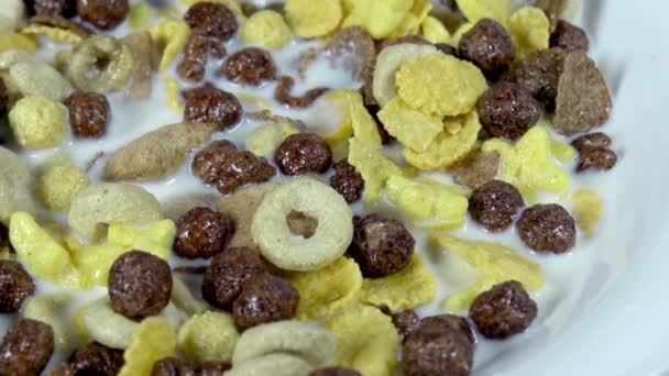 Blandning av olika Cornflakes. — Stockvideo