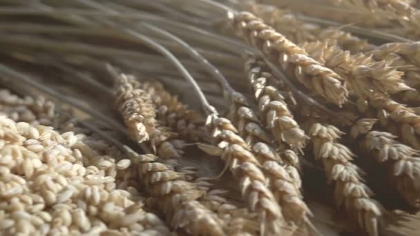 Oreilles de blé, de grain et de farine — Video