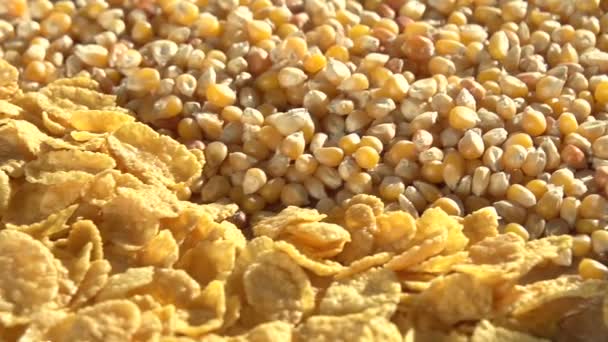 Selección de copos de cereales — Vídeos de Stock