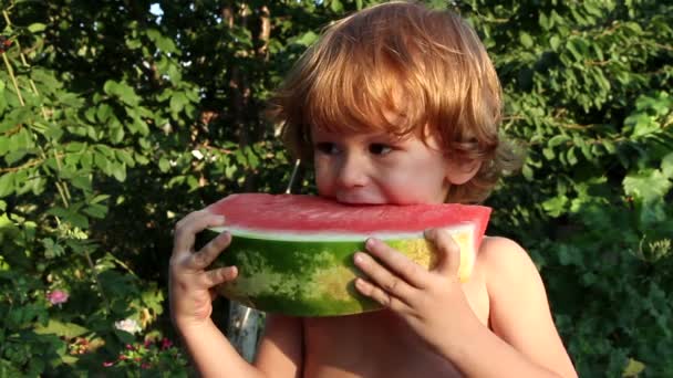 Weinig eten segment van watermeloen — Stockvideo