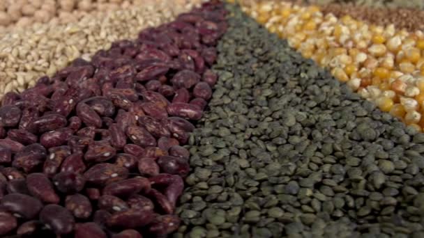 Variedade de cereais e leguminosas — Vídeo de Stock