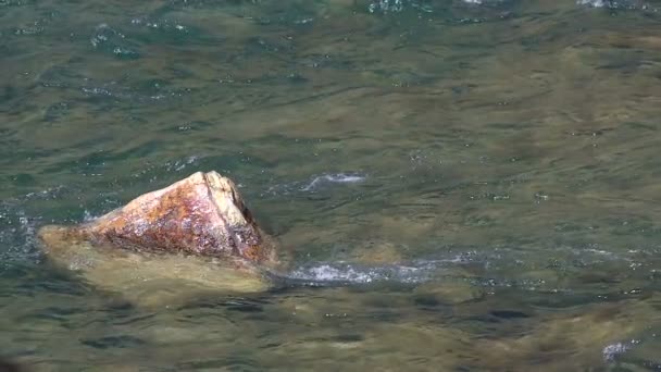 Gefahren von Flussläufen — Stockvideo