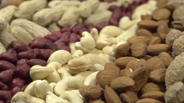 Variety of Dried Fruits and Nuts — Stock Video