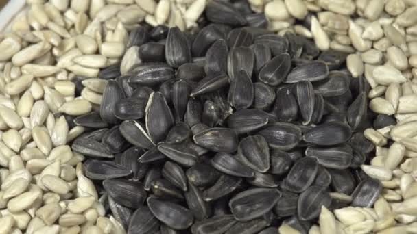 Sunflower Seeds. Loop rotation — Stock Video