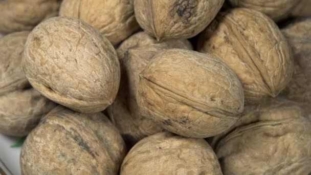 Walnuts in Shell. Loop rotation — Stock Video