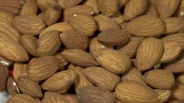 Almonds. Loop rotation — Stock Video