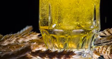 Usulca parlayan kupa bira