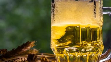 Usulca parlayan kupa bira