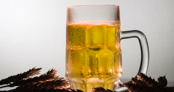 Cerveza lager en taza — Vídeos de Stock