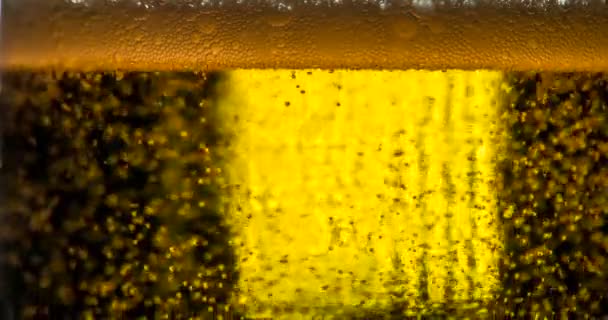 Stream of beer being poured into  glass — Stock Video