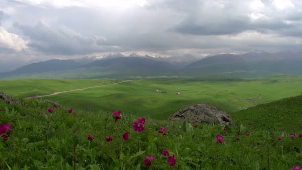 Flowering Spring Foothills. Vueltas de tiempo — Vídeos de Stock