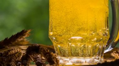 Bir bardak bira kabarcıkları oyunu