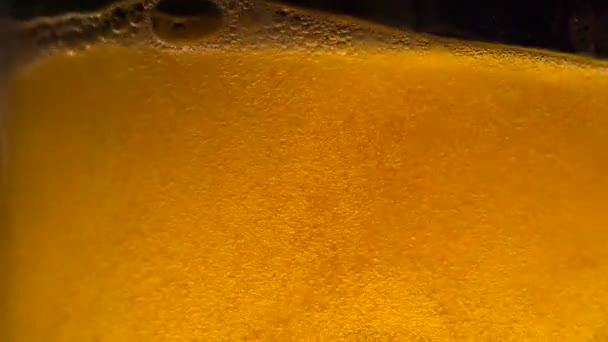 Dance of Beer Bubbles — Stock Video