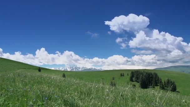 Nuvens flutuam sobre os prados — Vídeo de Stock
