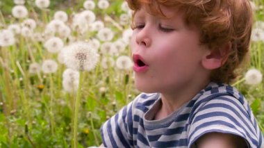 Kıvırcık çocuk ve karahindiba