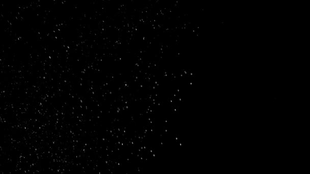 Chute de petites particules blanches 