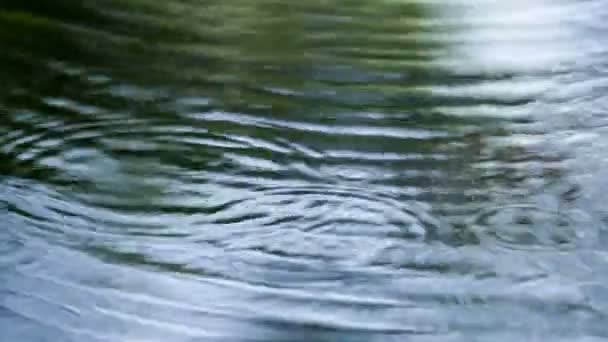 Vattenpölar efter regn — Stockvideo